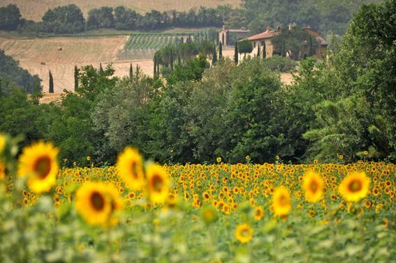 Agriturismo Val Di Sterza Querceto  Exterior foto