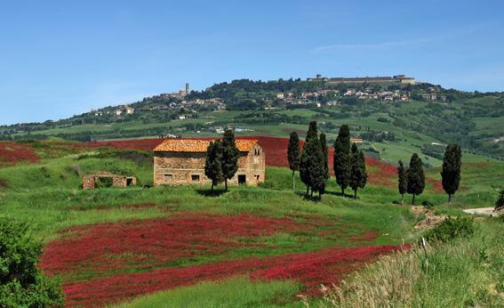 Agriturismo Val Di Sterza Querceto  Exterior foto